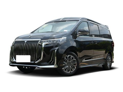 金冠G20 车型外观图