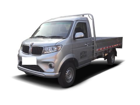 金杯新海豚EV 车型外观图