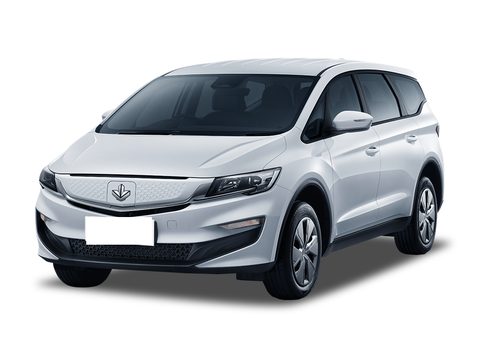 枫叶80v L 车型外观图