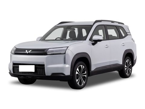 五菱星光560新能源 车型外观图
