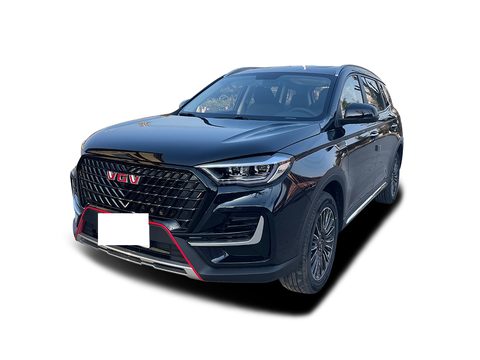 中国重汽VGVVGV U75 车型外观图